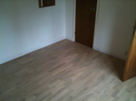 Quickstep laminate 513